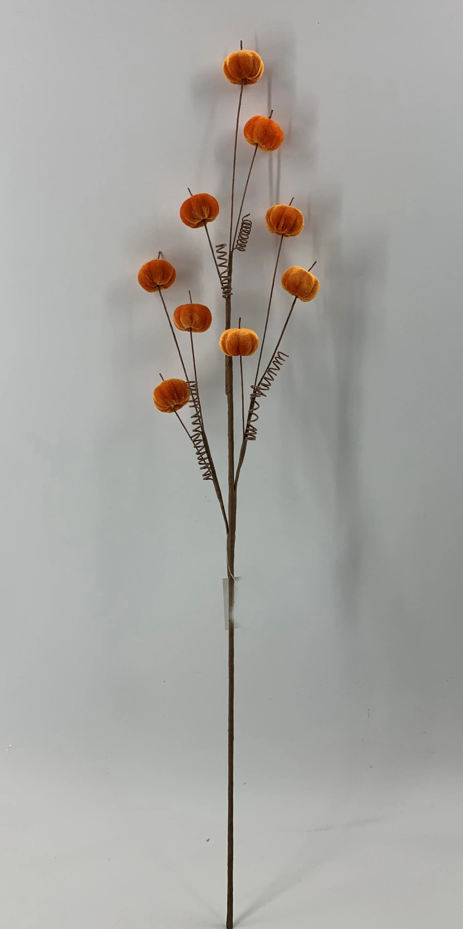 Fall Flower 19
