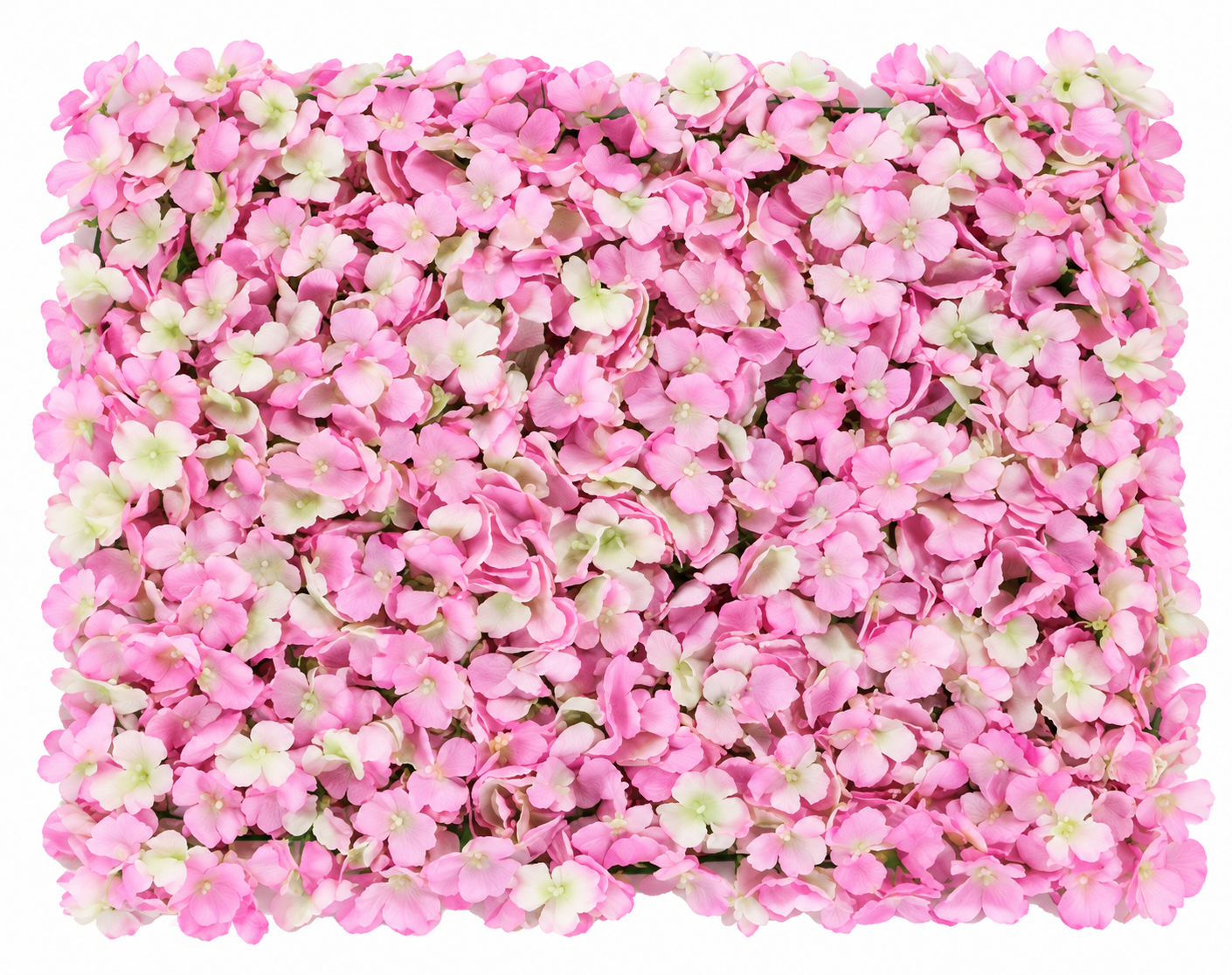 pink_flower