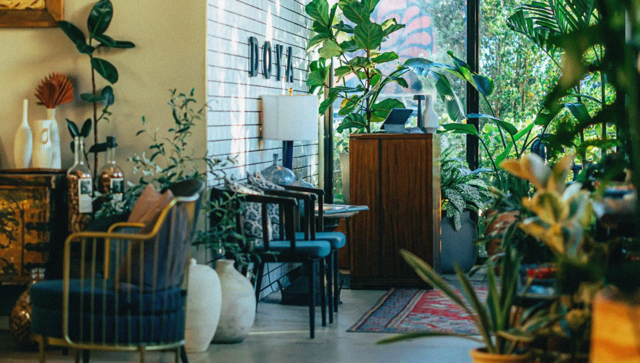 EntranceArea.jpg