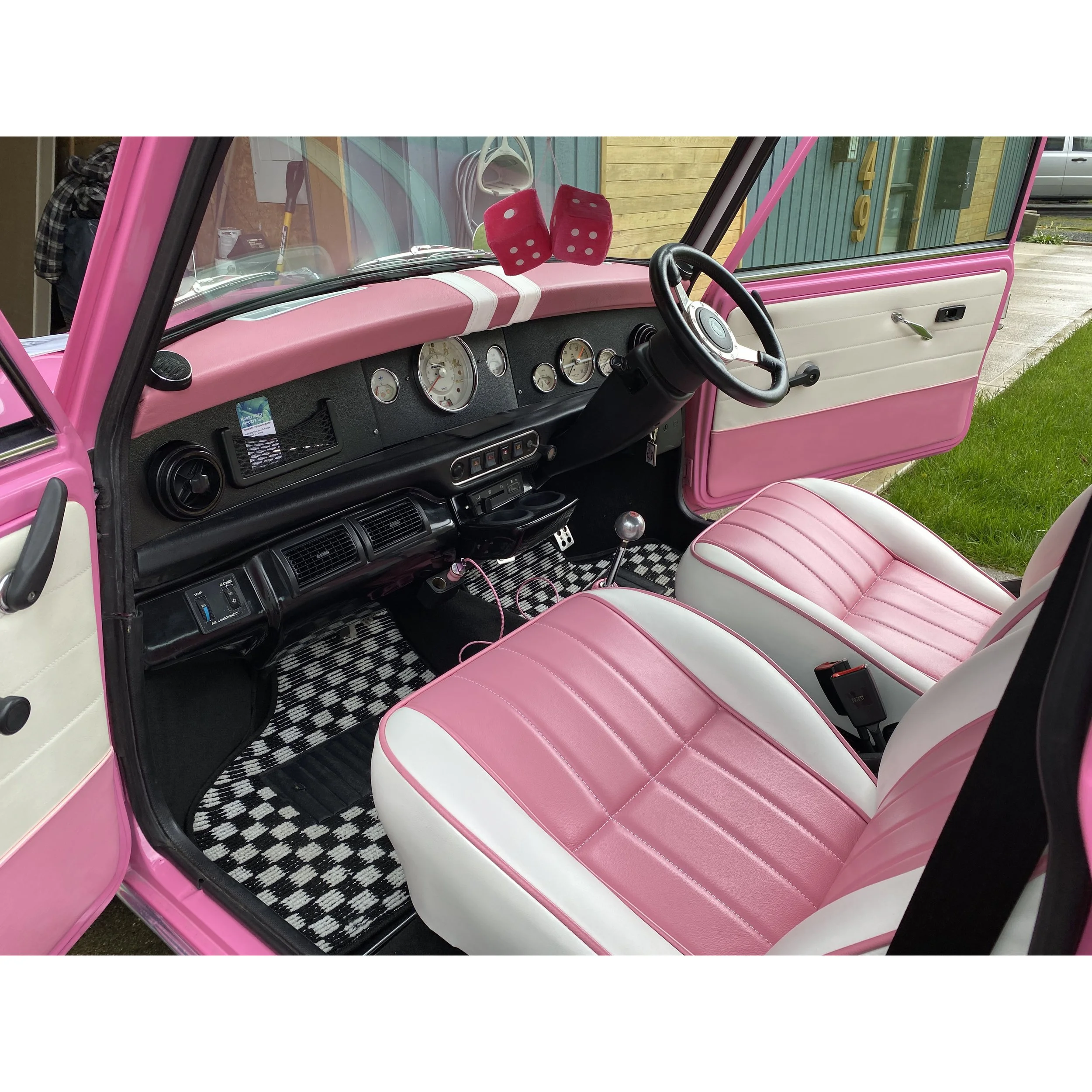 pink mini.jpg