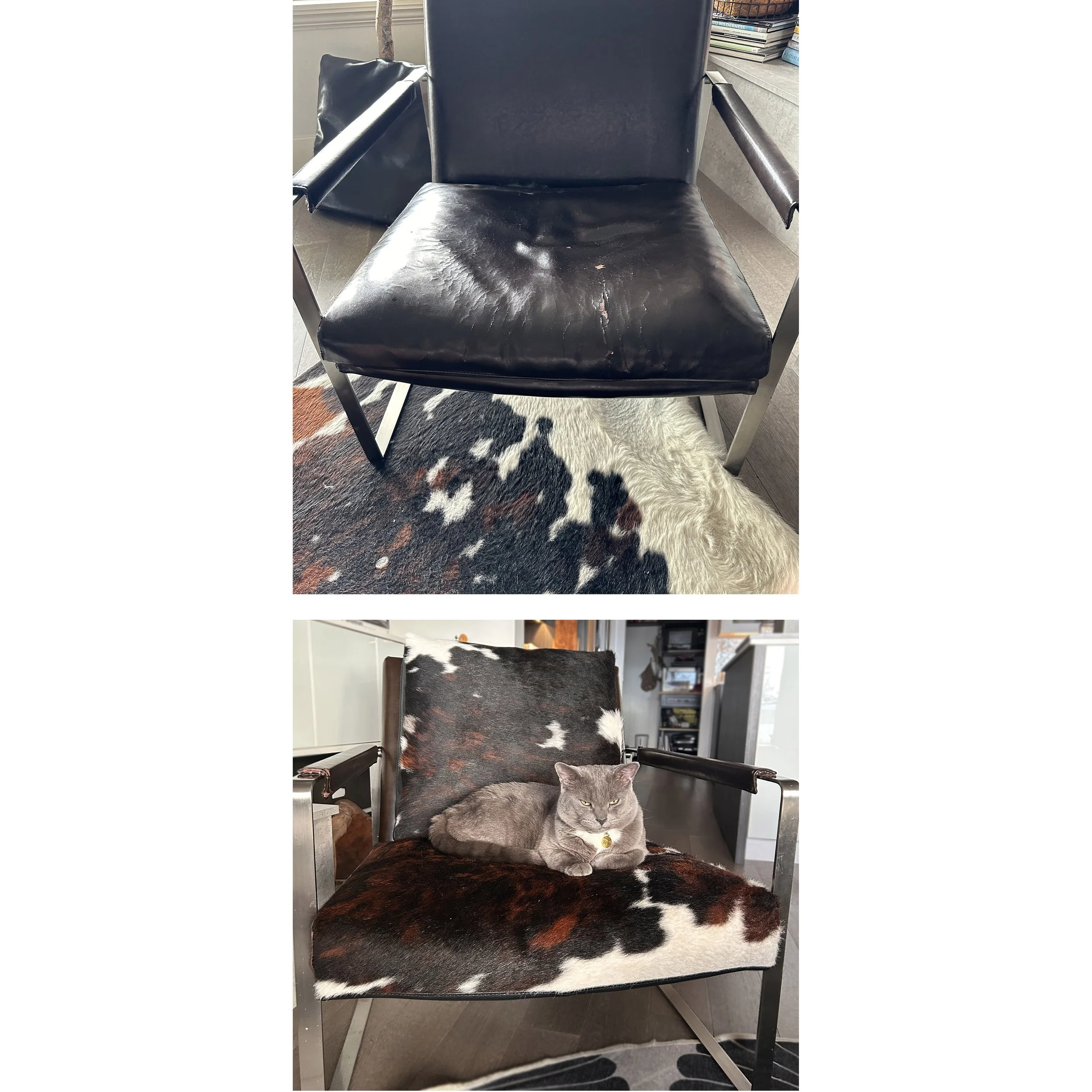 cowhide chair b+a.jpg