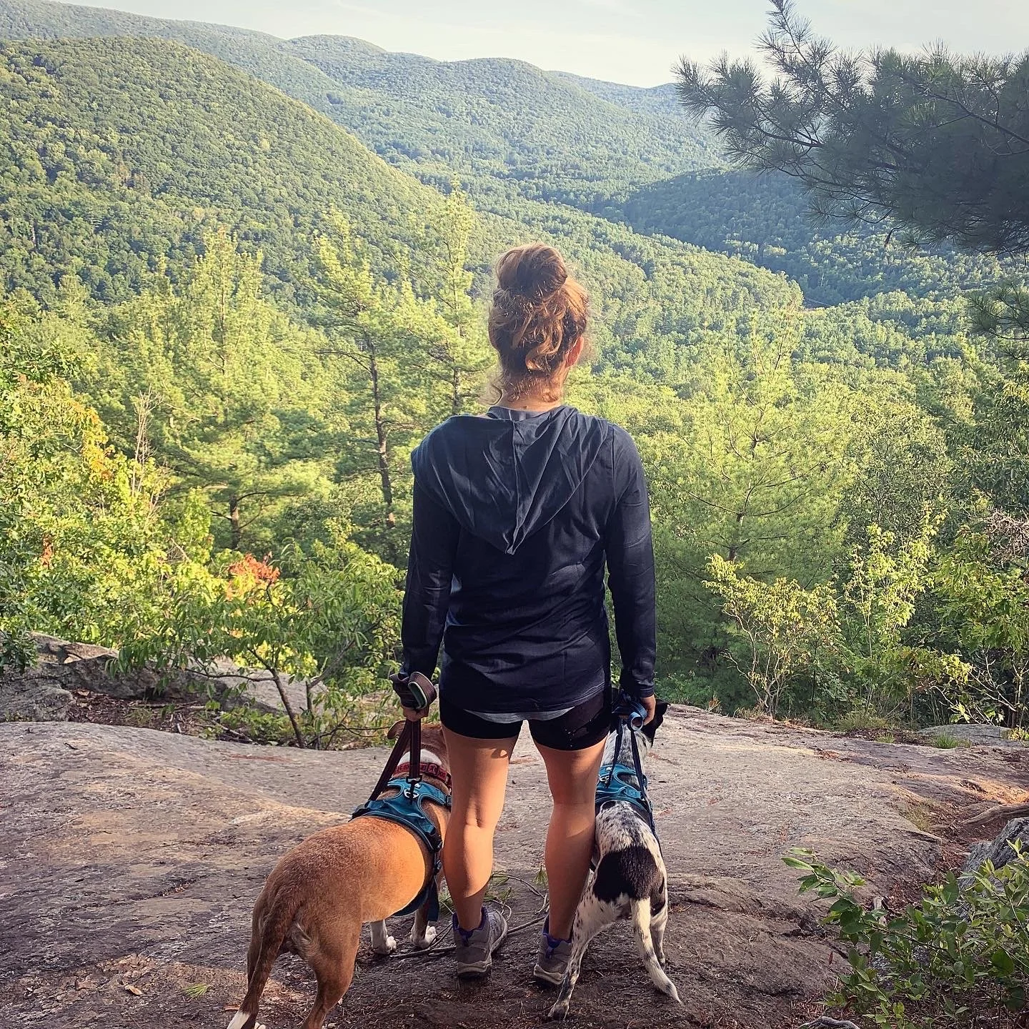 E92B9476-53A1-4C85-A901-9E5AEA55D7BC (1).JPG