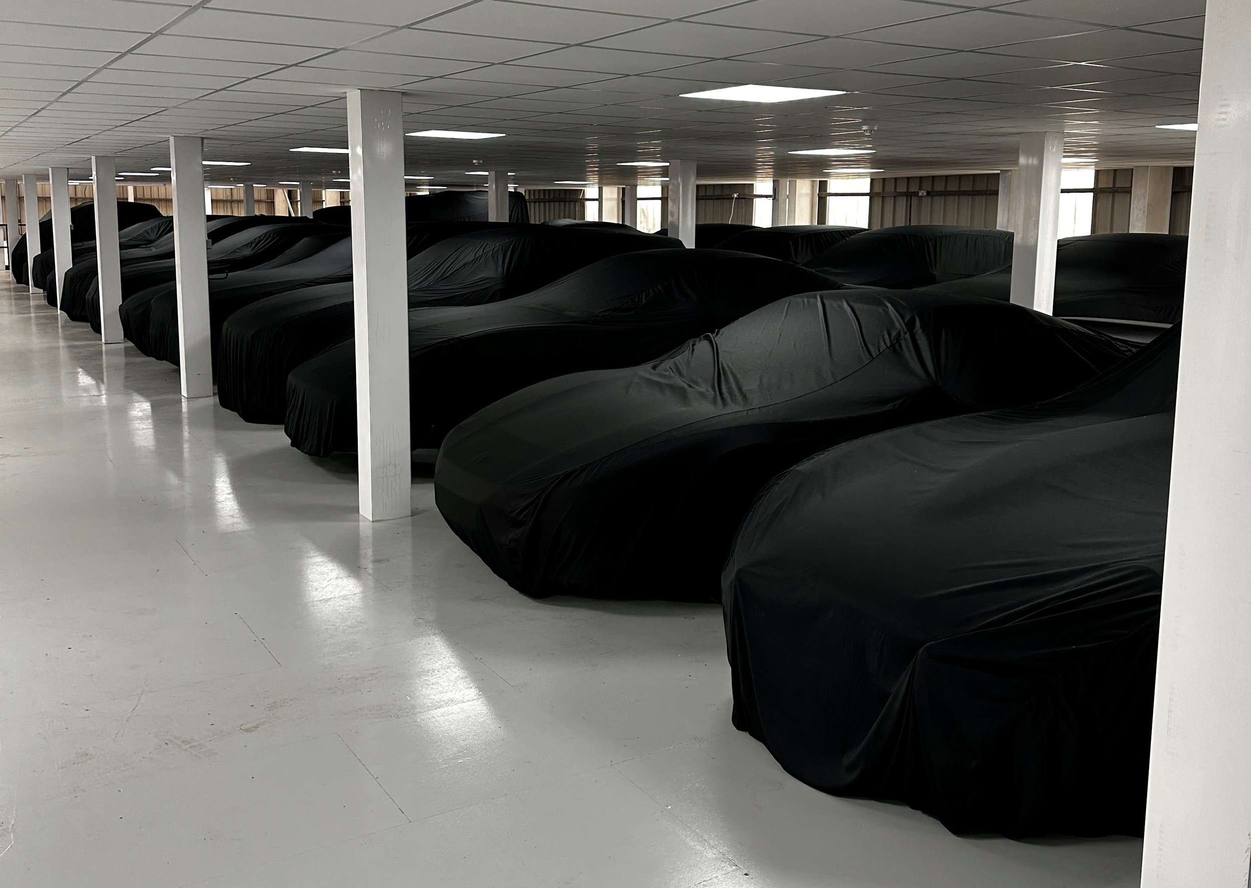 The Growing Demand for Exotic Car Storage: What You Need to Know
