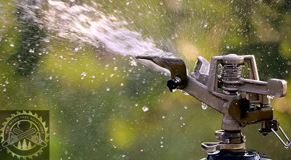 practices mistakes schedules for landscape watering needs