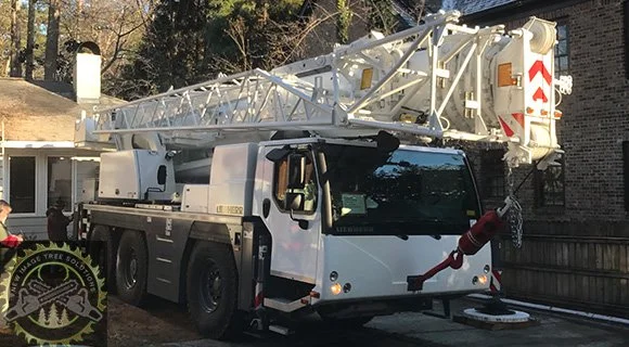heavy duty crane equipment for tree pruning and removal