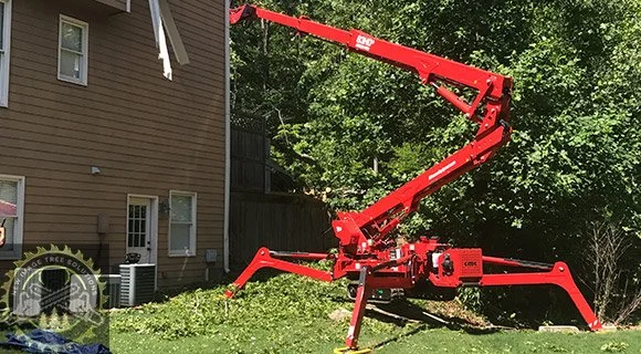 Tree Pruning and Removal Equipment