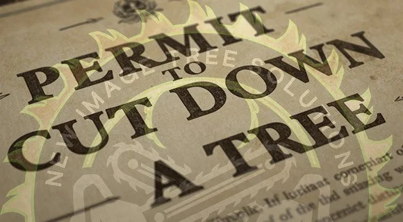 Tree Removal Permit - When Do I Need One?