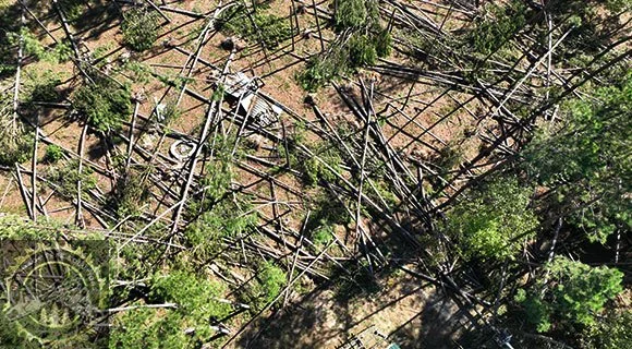 storm damaged tree removal permit
