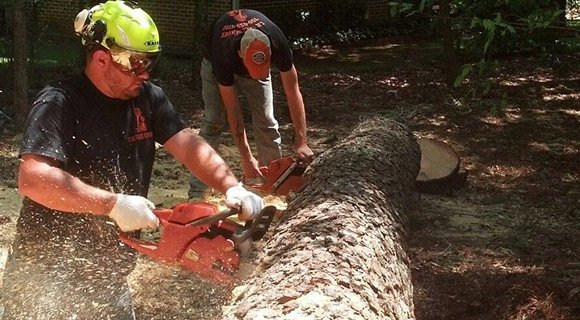 sandy springs georgia tree removal permit