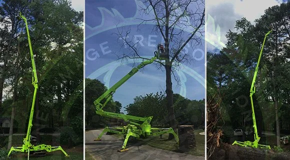 kennesaw georgia tree removal permit guidance