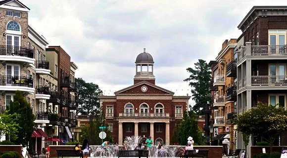 alpharetta ga tree removal permit