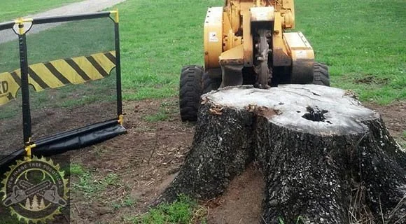 stump and root removal land clearing process