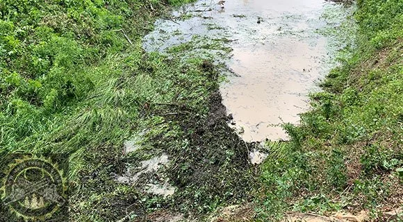 practices mistakes schedules for landscape watering overwatering issues