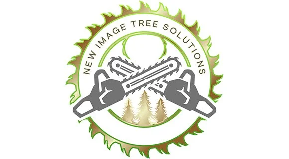 land clearing process