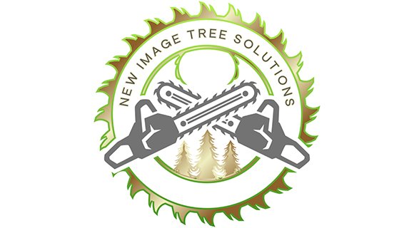 dunwoody georgia tree removal permit
