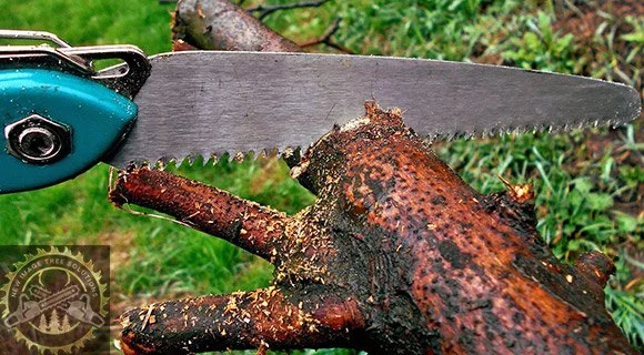 equipment for tree pruning and removal handheld saw