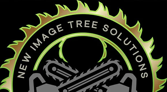 land clearing process expert services