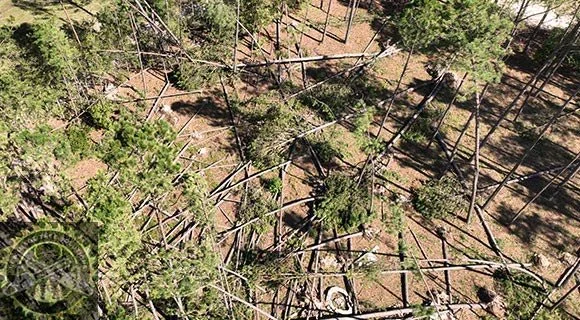 site evaluation land clearing process