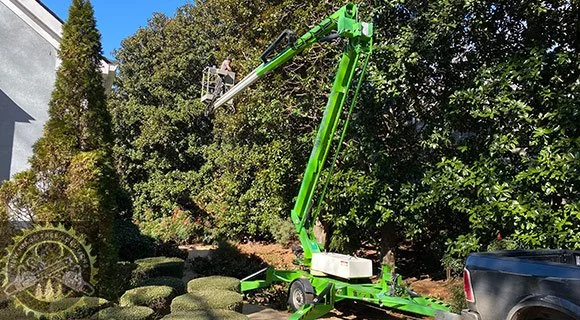 heavy duty lift equipment for tree pruning and removal