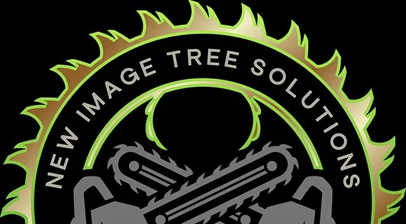 tree and root mushroom growth arborist services