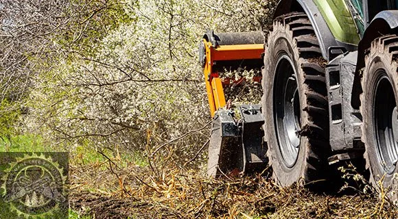 cutting equipment for dense tree and brush clearing