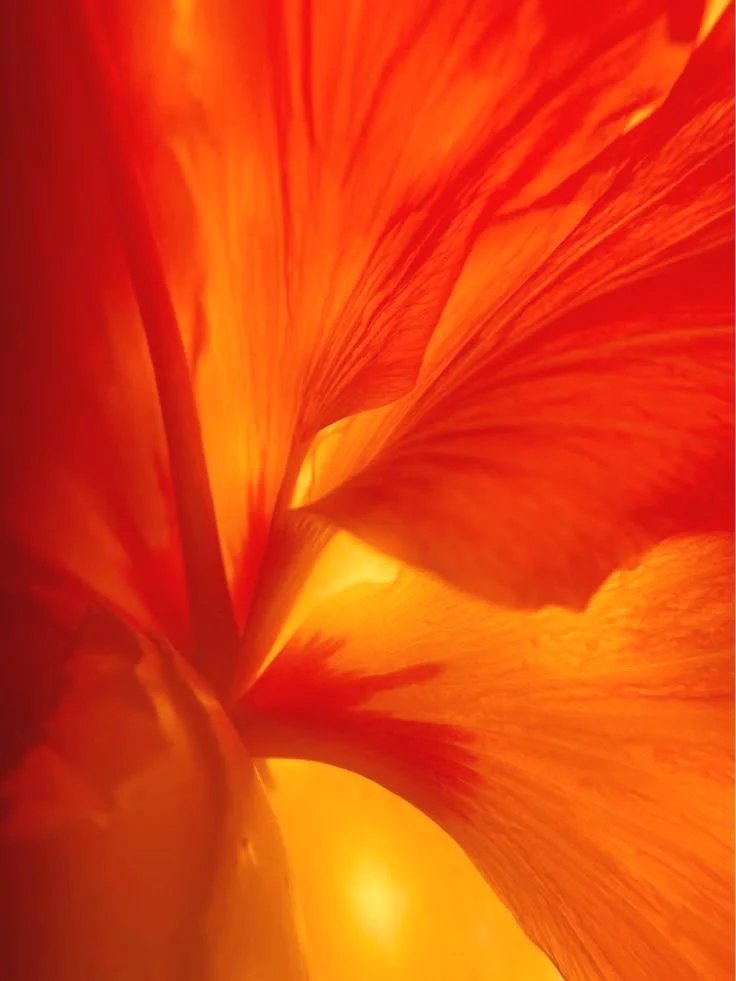 orange-red+mix.jpg