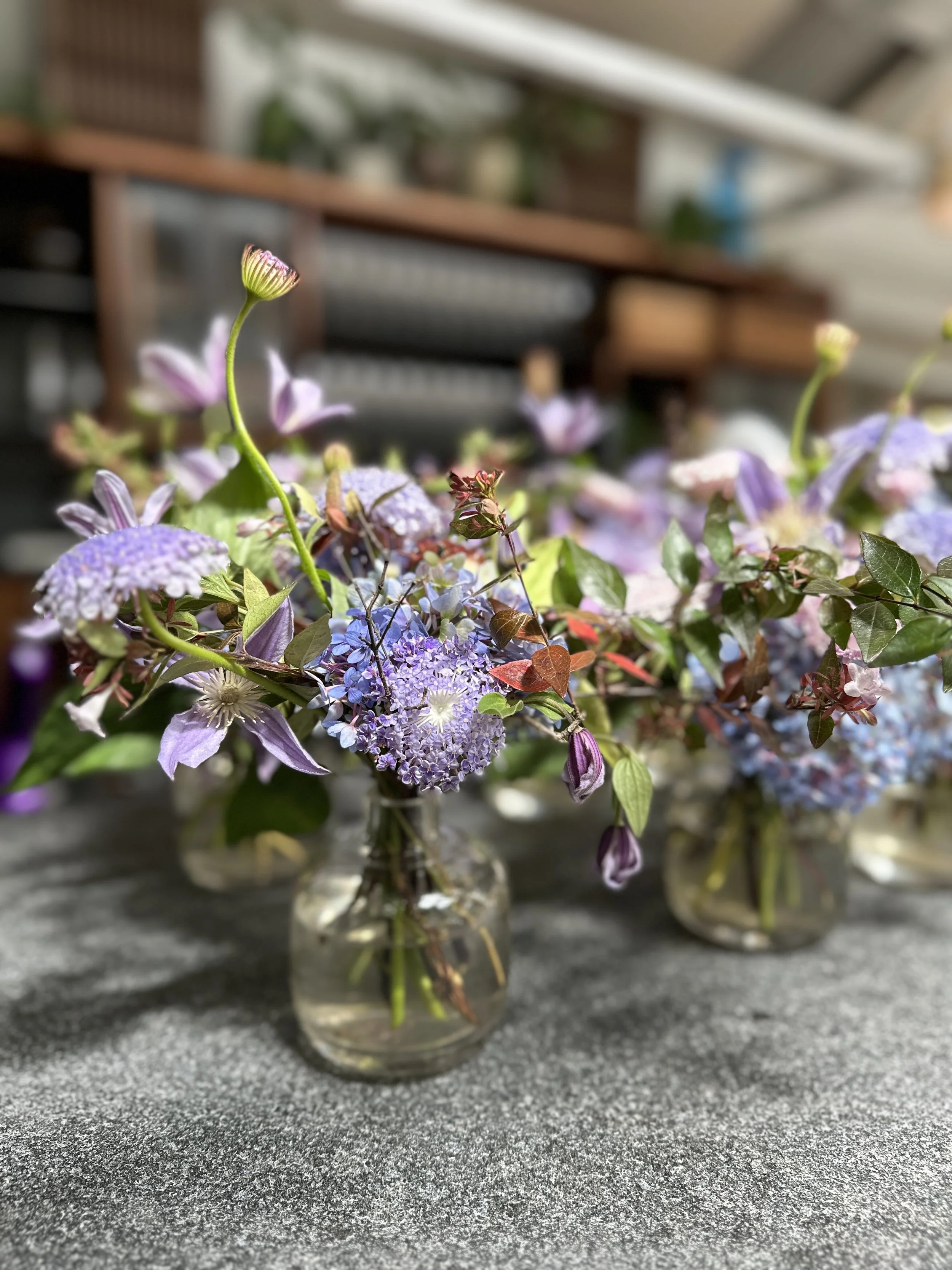 Small Arrangements 02.JPG