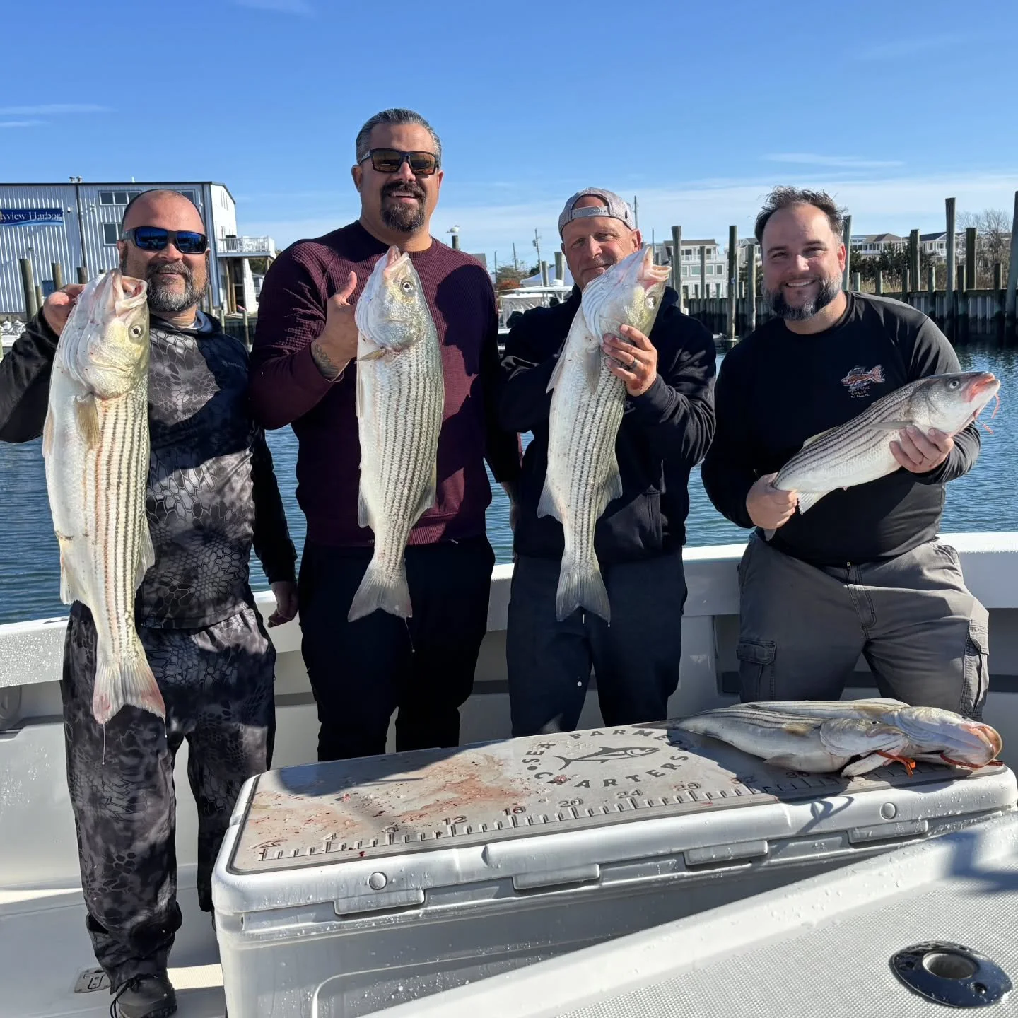 The stripers are moving in! Great keeper sized bass fishing with the first wave of big fish getting close on the beaches.

#seafarmercharters #seaveeboats #whitewaterboats #stripedbass #striperfishing #barnegatlight #barnegatinlet #lbifishing #lbifis