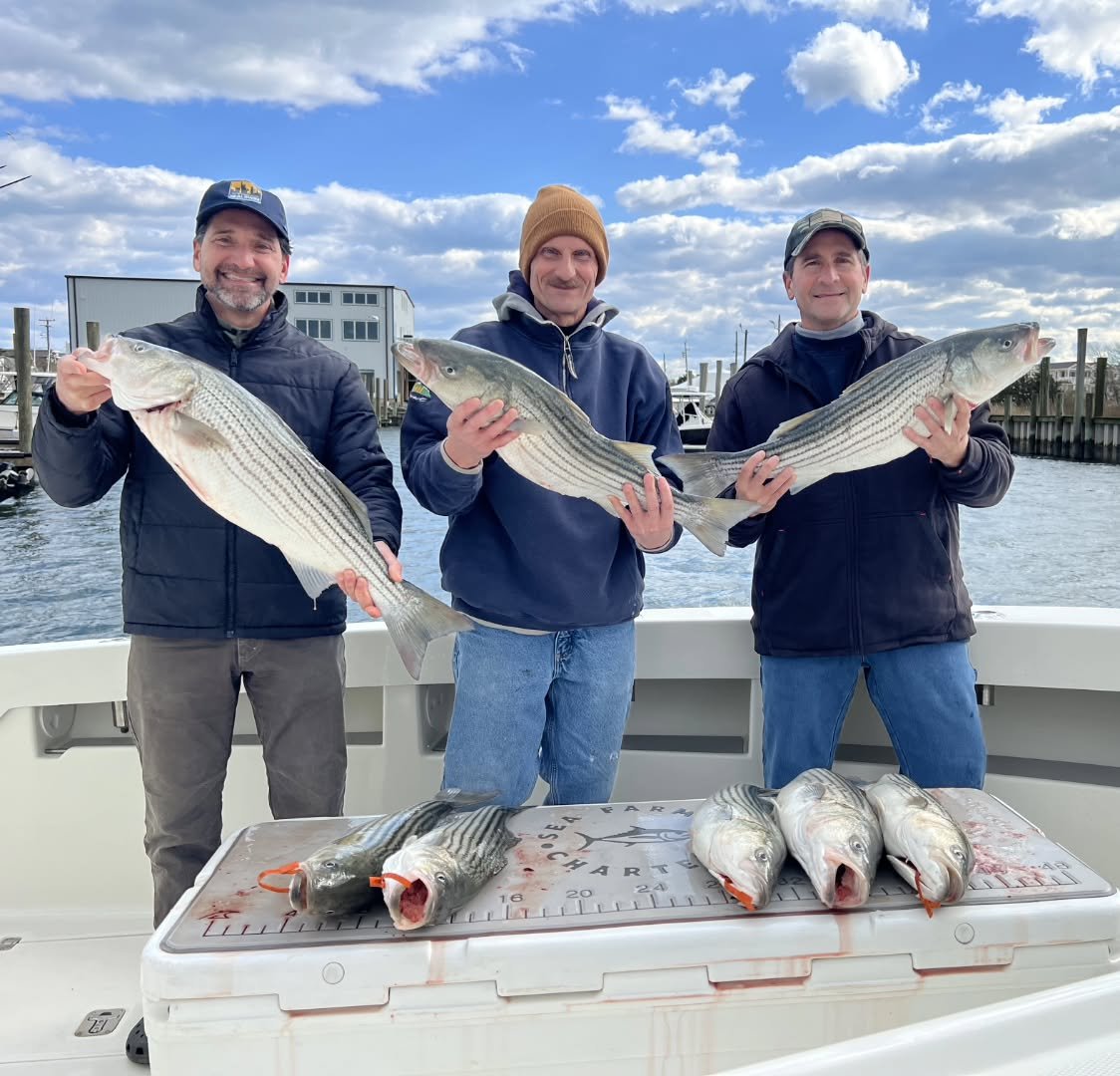 November continues to provide, come get out on a trip with us while the stripers are in our backyard!
.
.
.
#seafarmercharters #seaveeboats #whitewaterboats #stripercharter #striperfishing #lbifishing #lbicharterfishing #barnegatinlet #barnegatlight