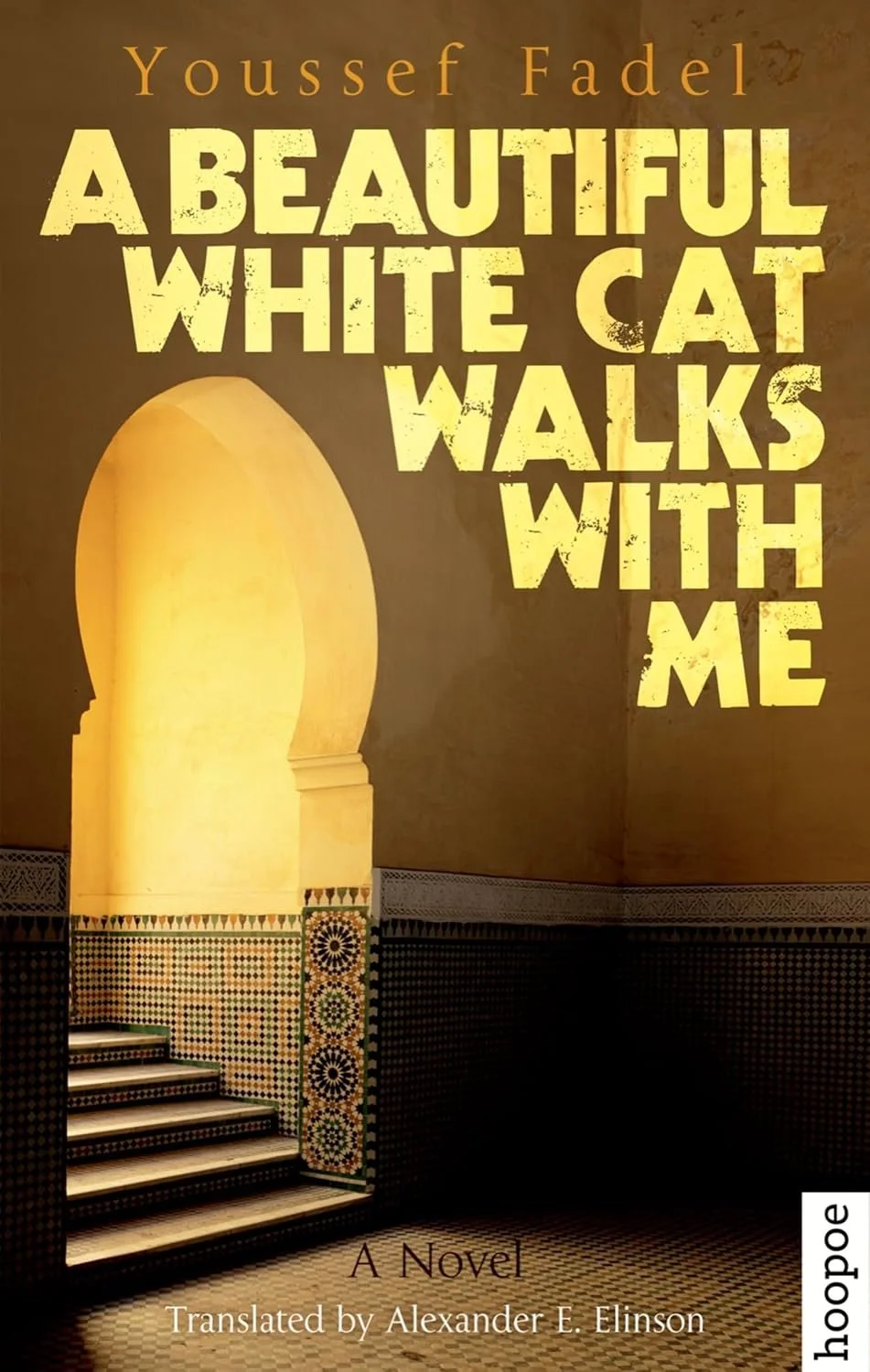 A Beautiful White Cat Walks with Me