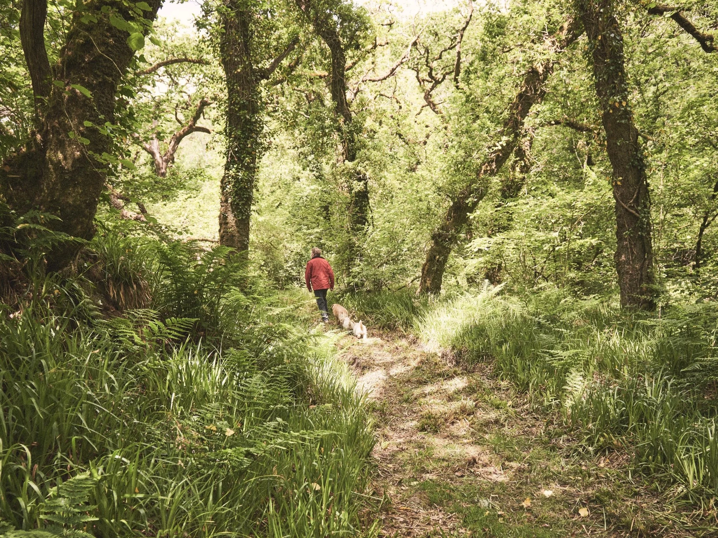 Copy+of+2025_%C2%A9_CabillaCornwall_Nature_2_Credit_BexAston.jpg