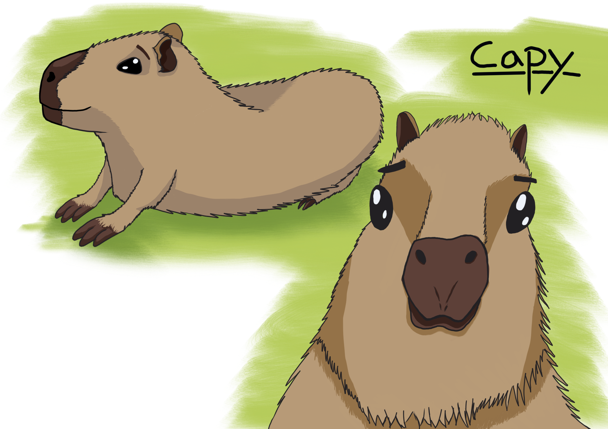 Capy (4).png