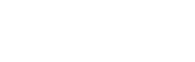 Community Action Transit System