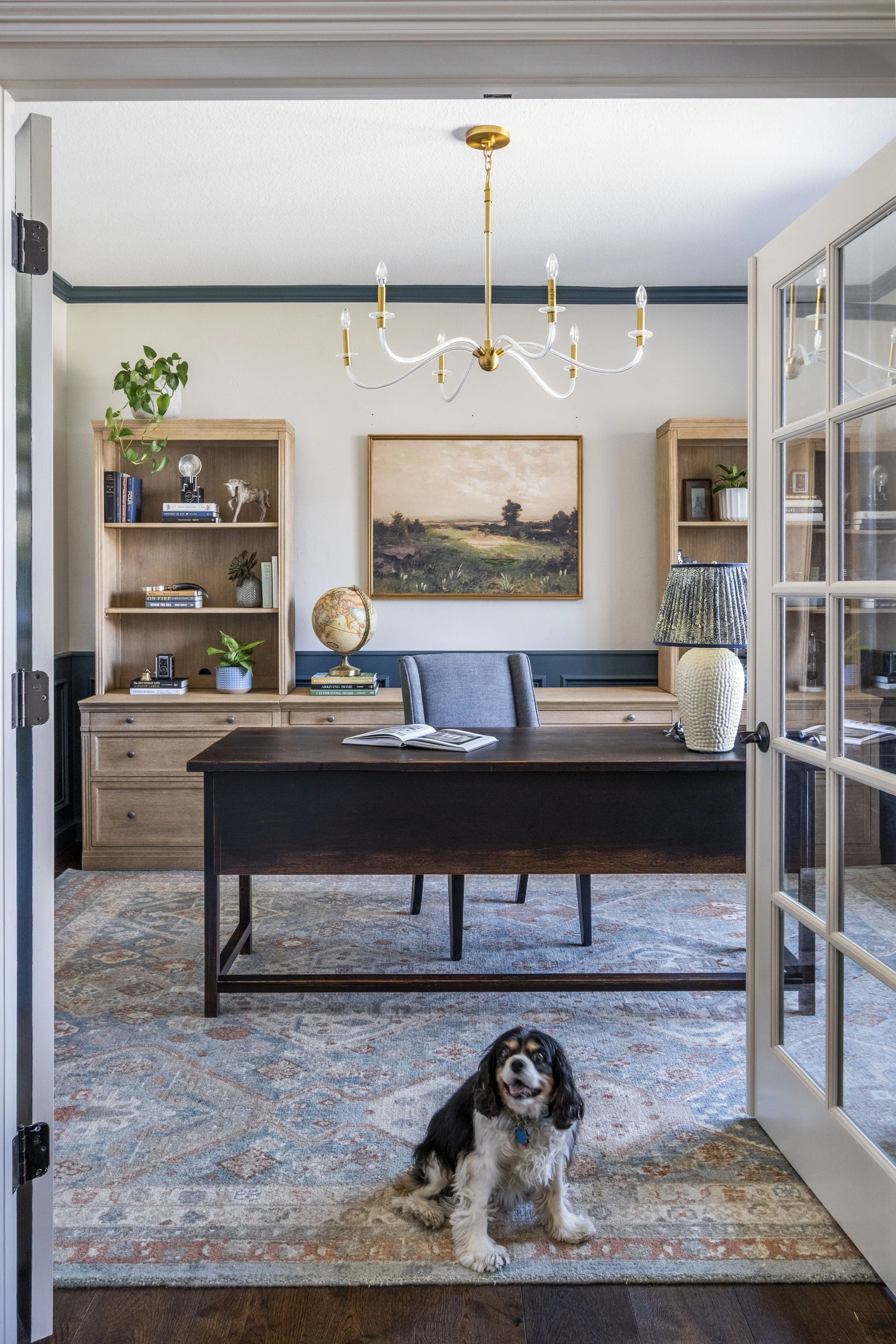 office with dog