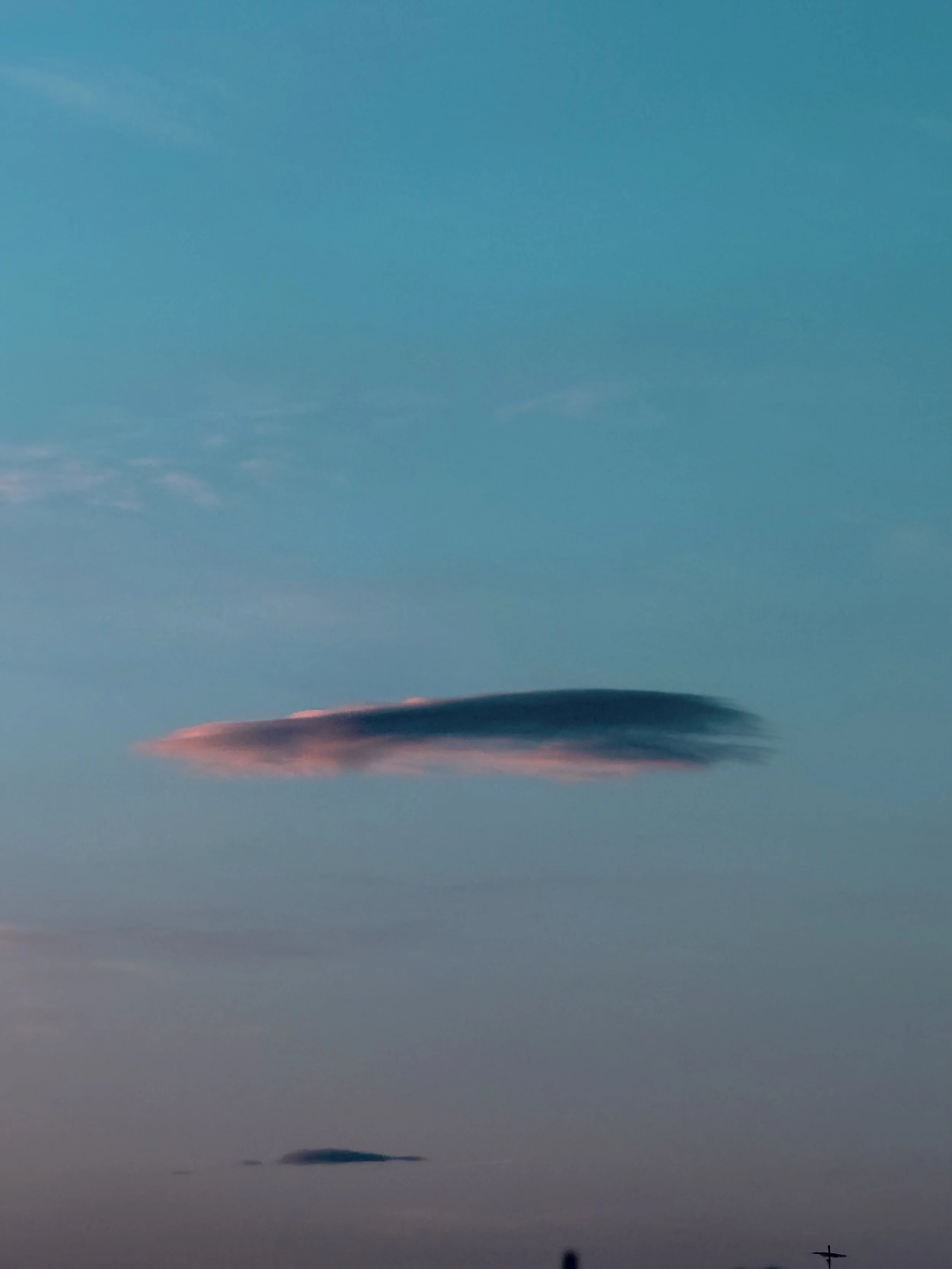 We swim beneath infinite skies, forgetting we were born from the same endlessness.