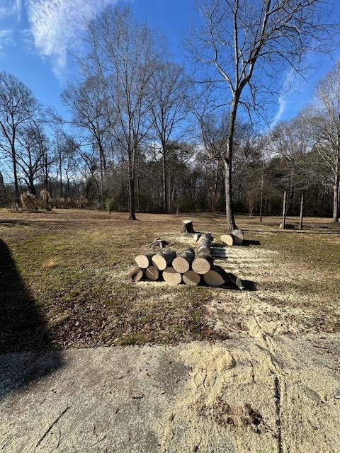 tree removal near me.jpg