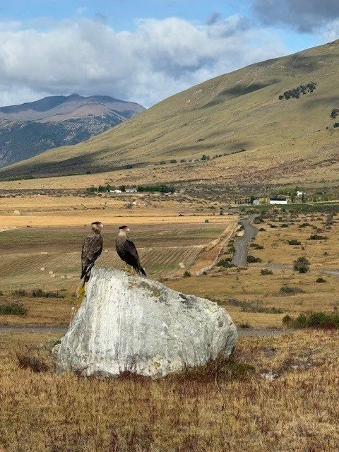 Patagonia 3.jpg