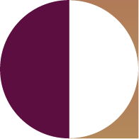 C icon symbolising Corporate executives