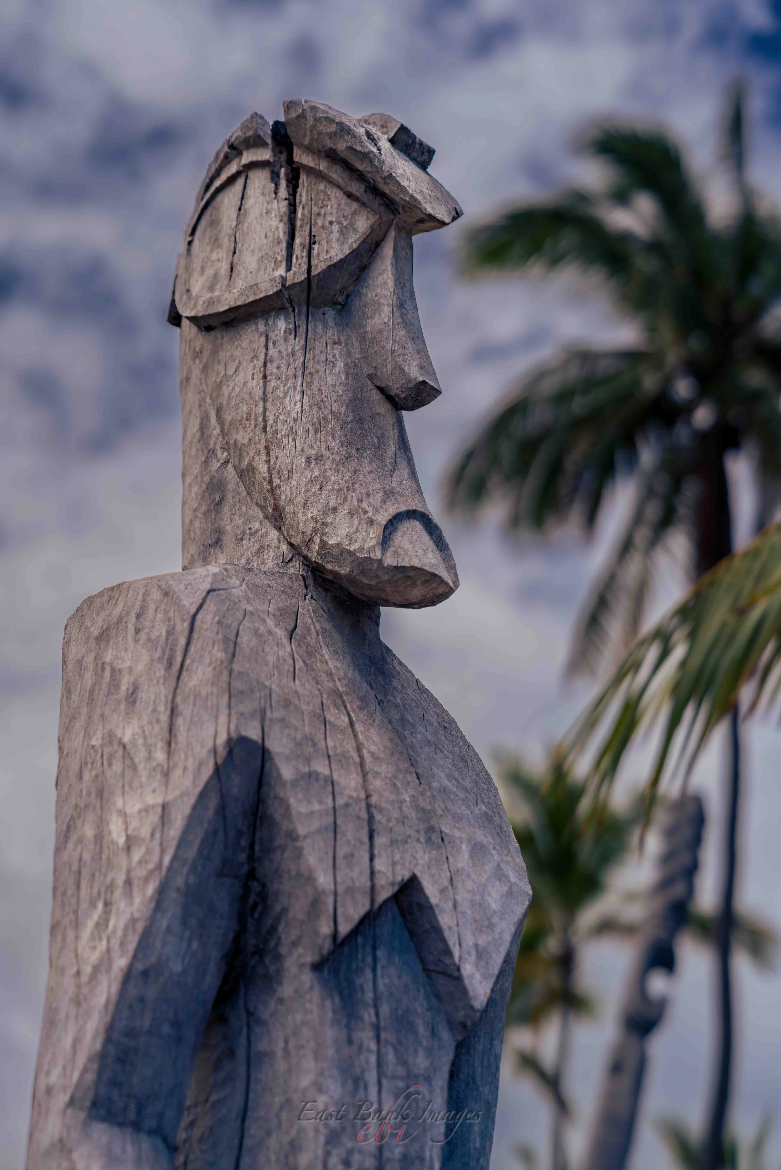 Hawaii-50.jpg