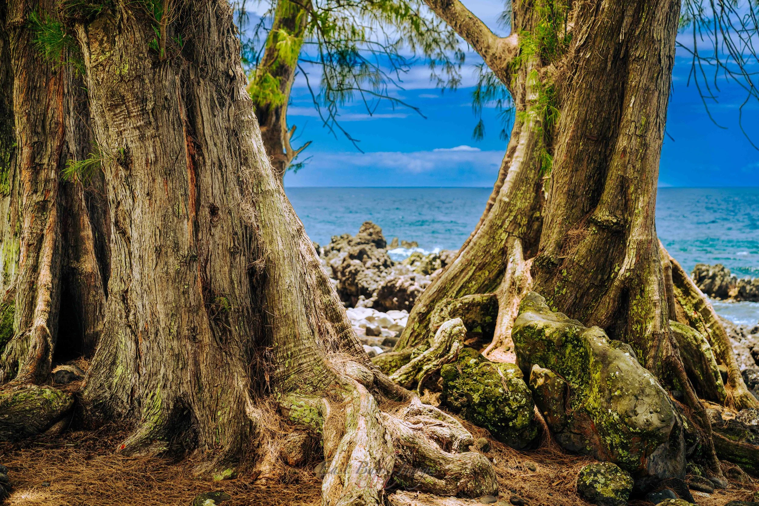 Hawaii-47.jpg