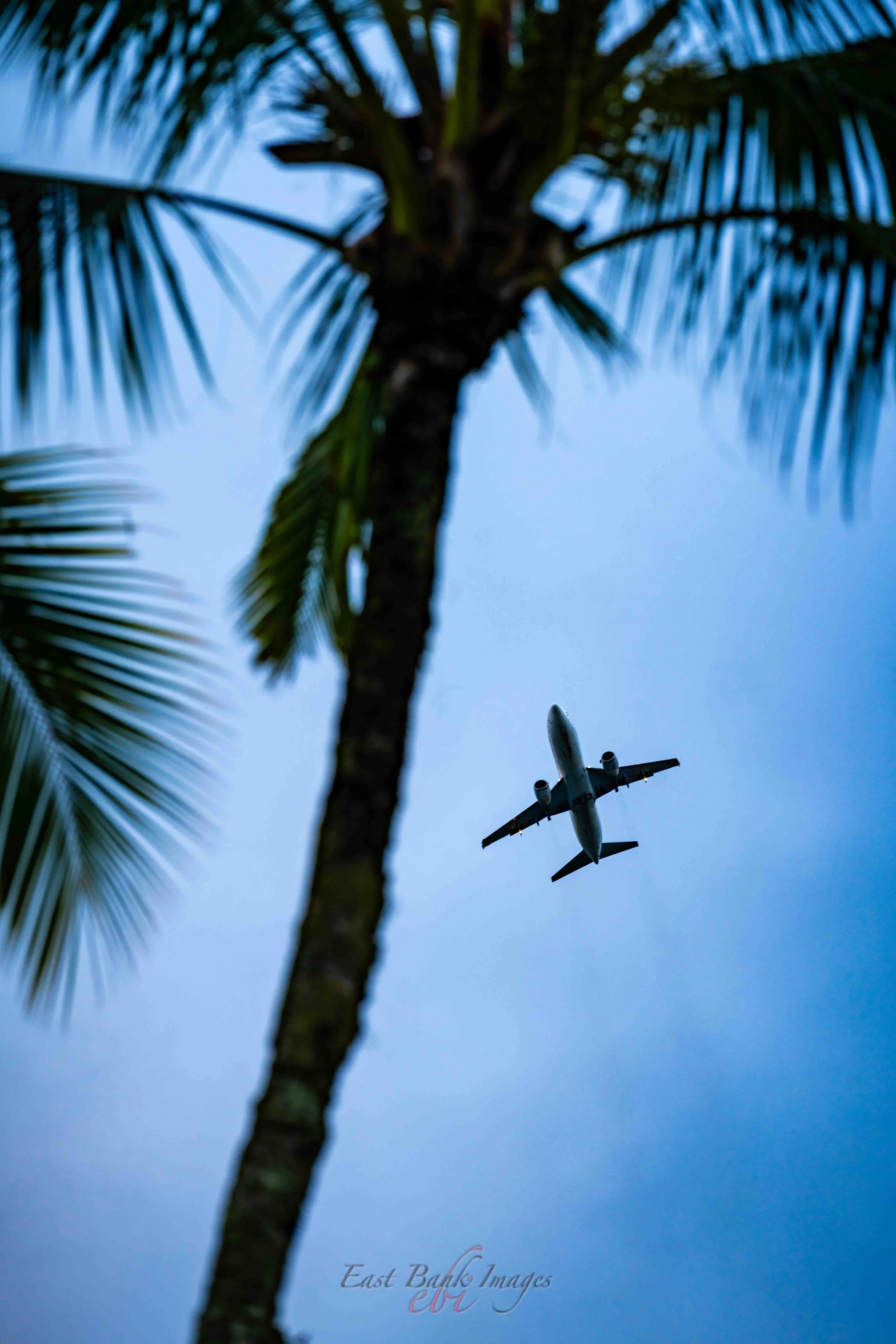 Hawaii-42.jpg
