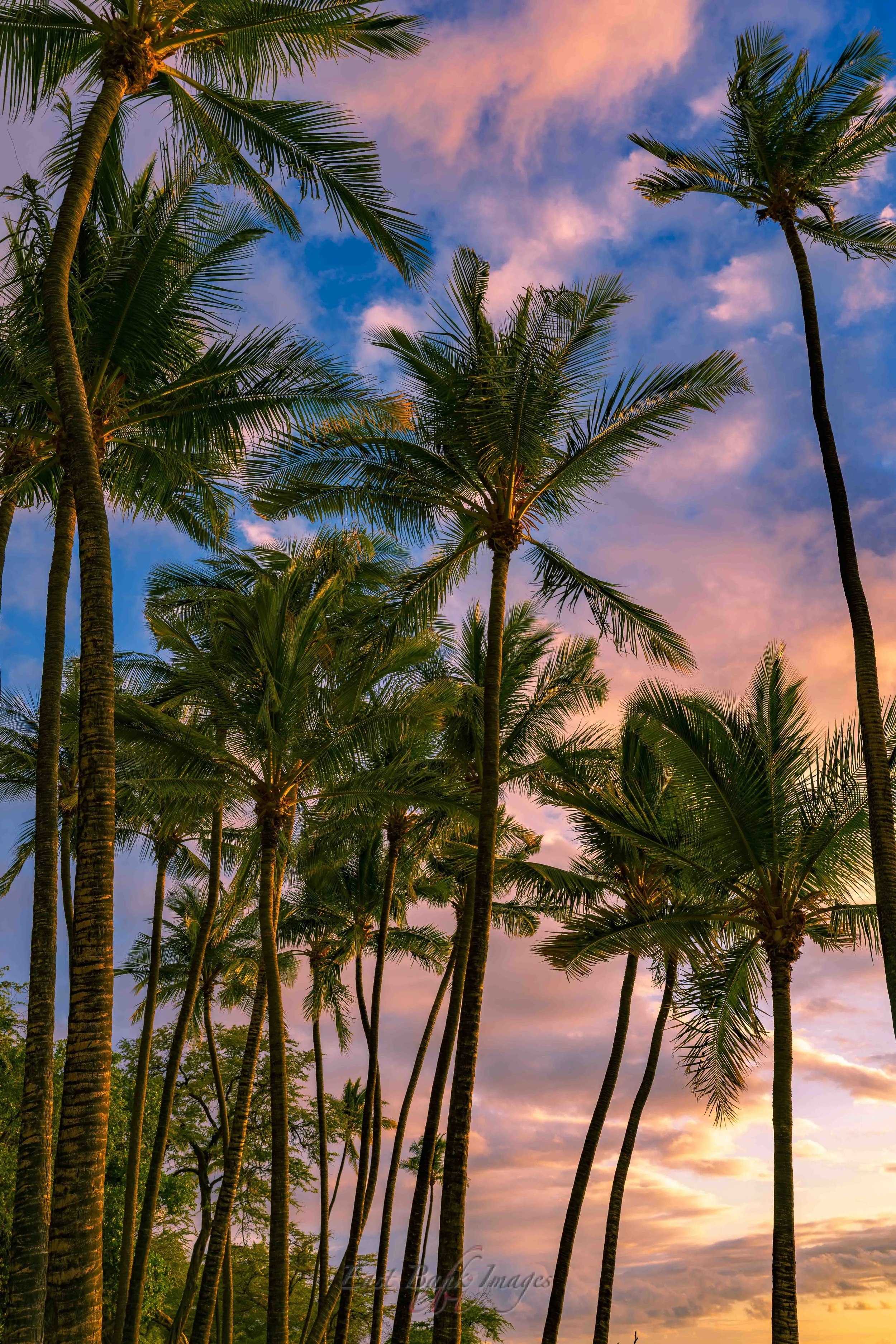 Hawaii-33.jpg