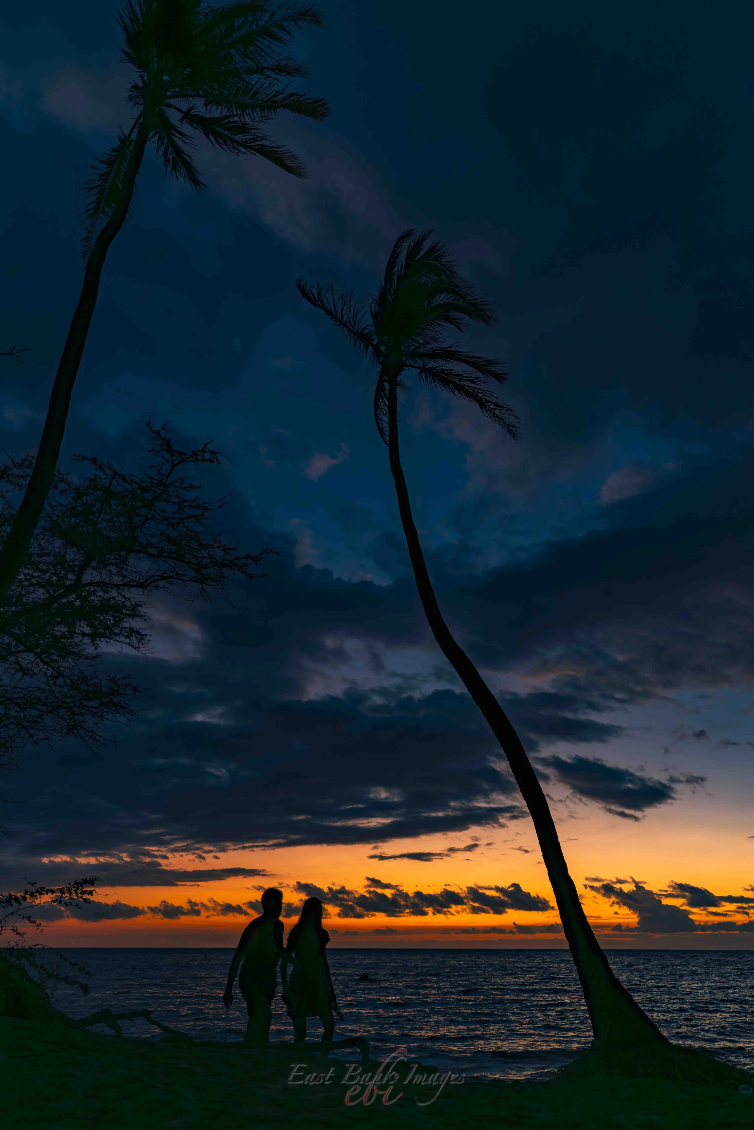 Hawaii-36.jpg