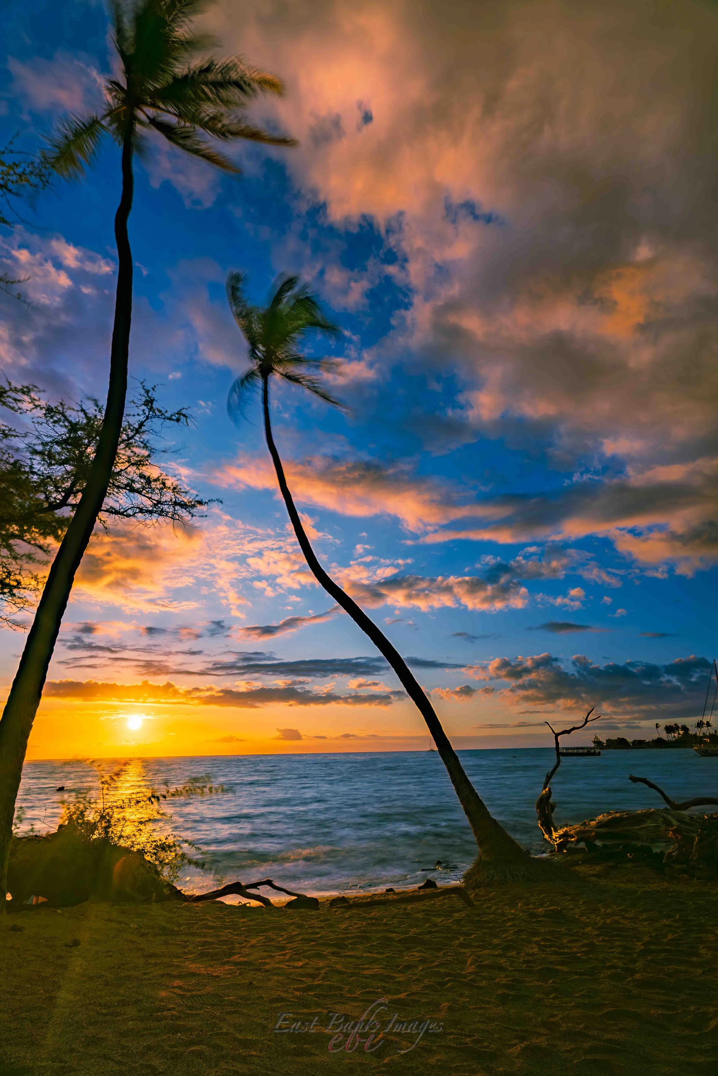 Hawaii-34.jpg