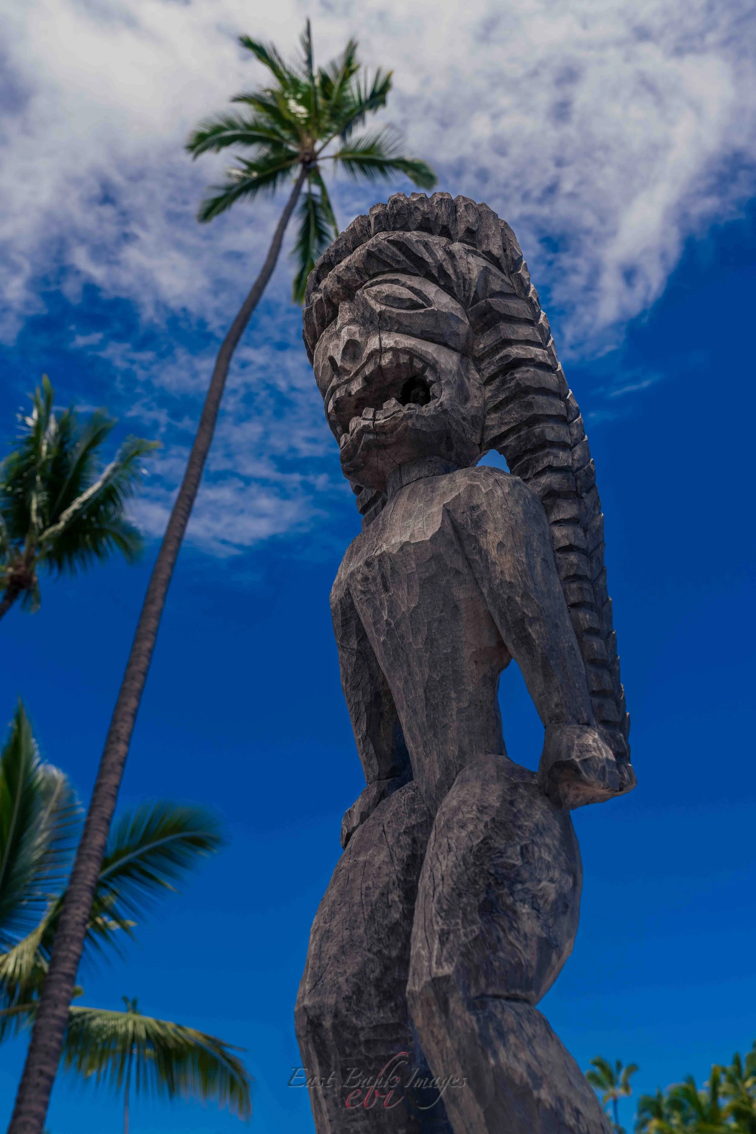 Hawaii-48.jpg