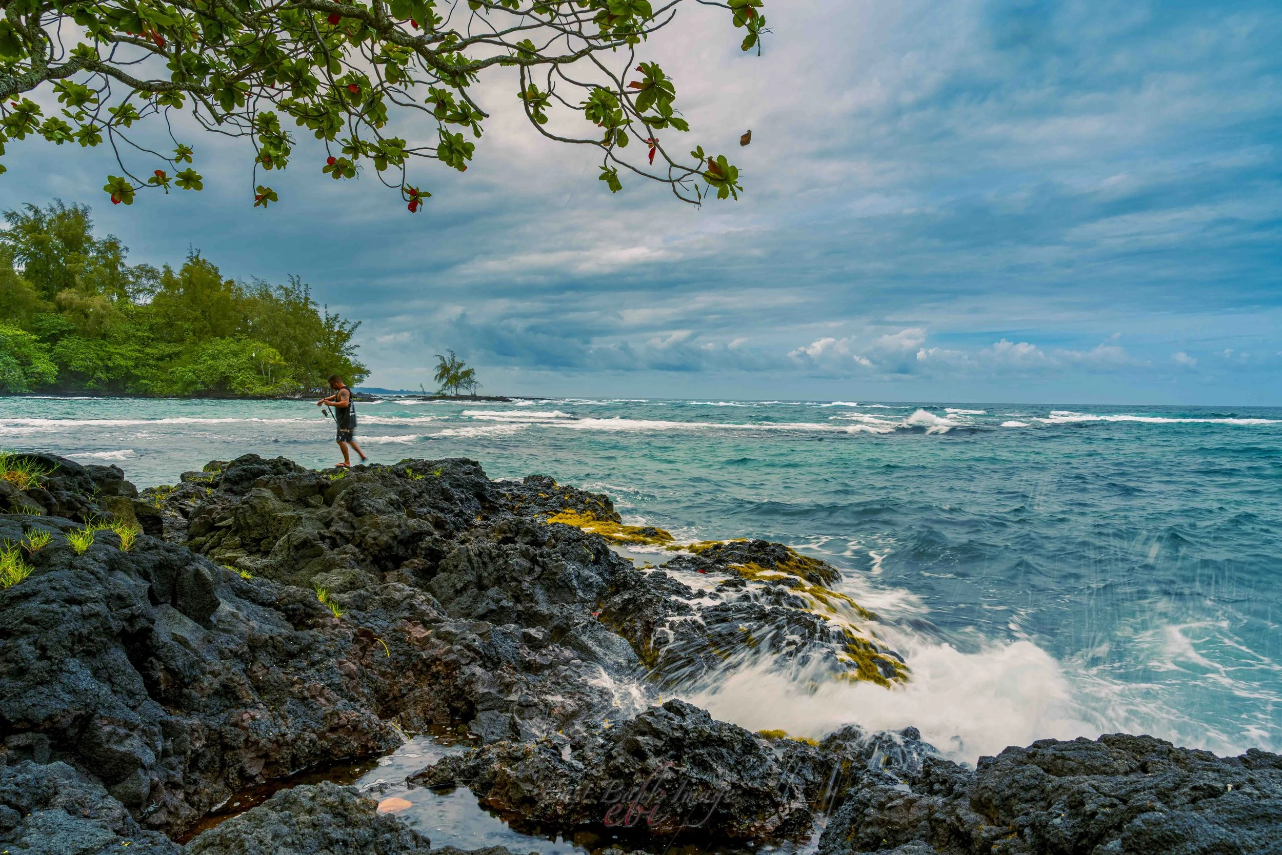 Hawaii-7.jpg