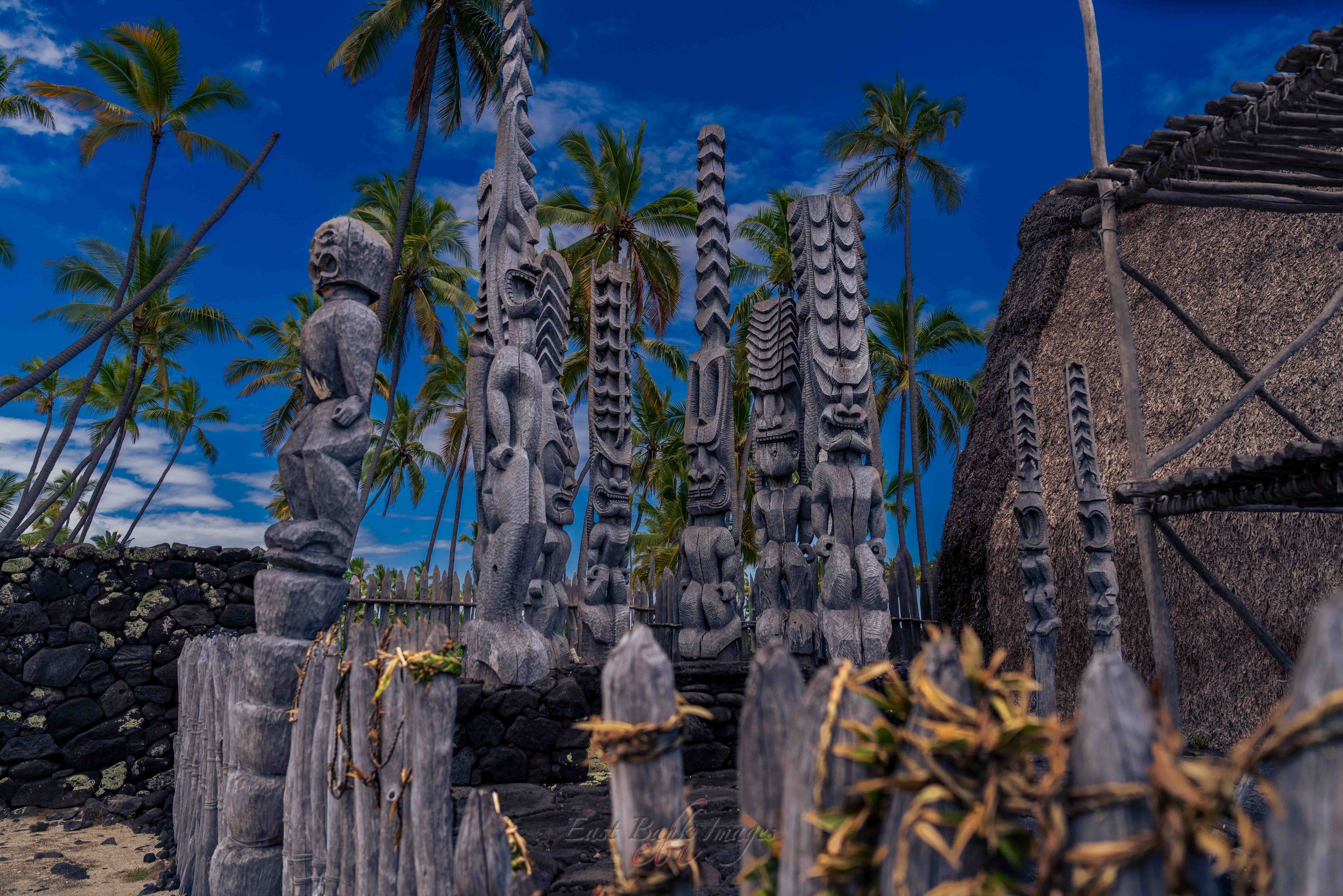 Hawaii-51.jpg