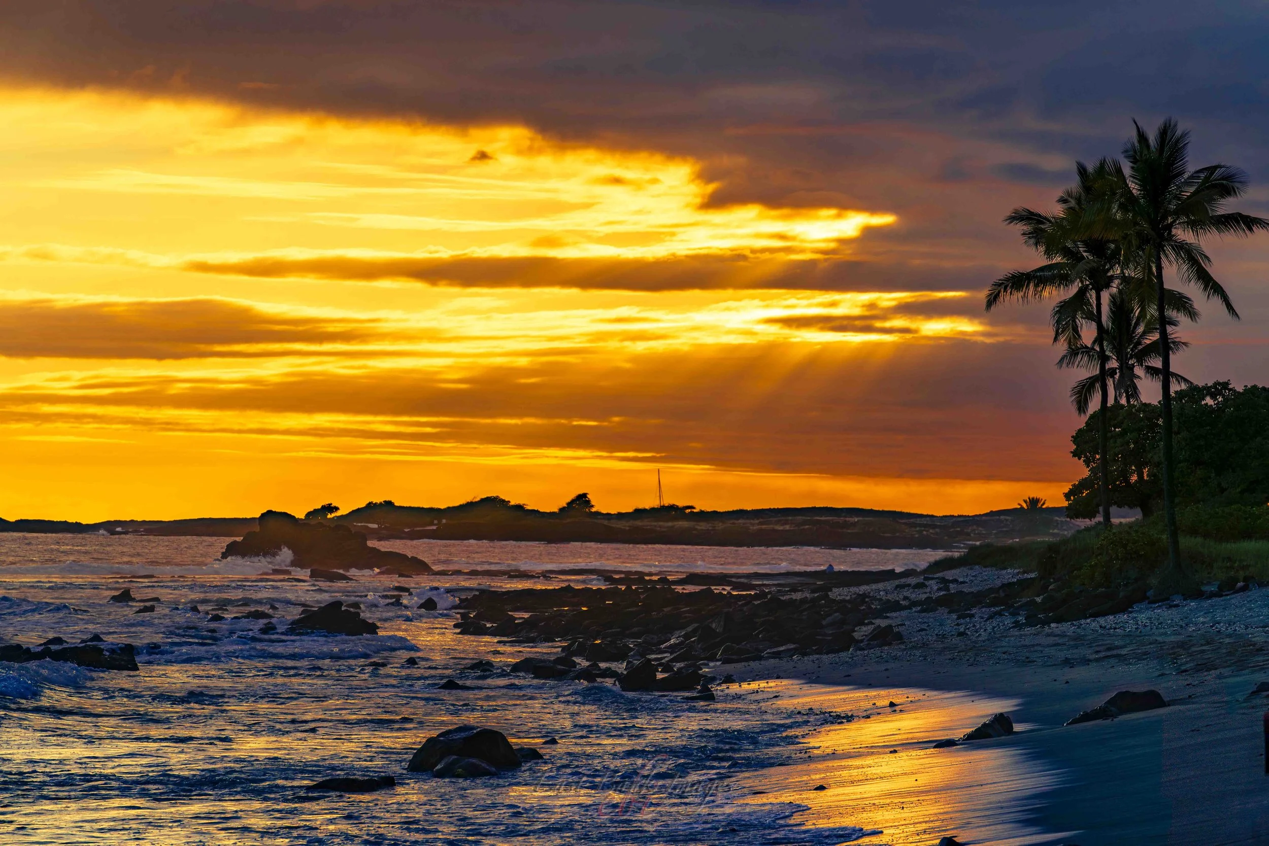 Hawaii-39.jpg