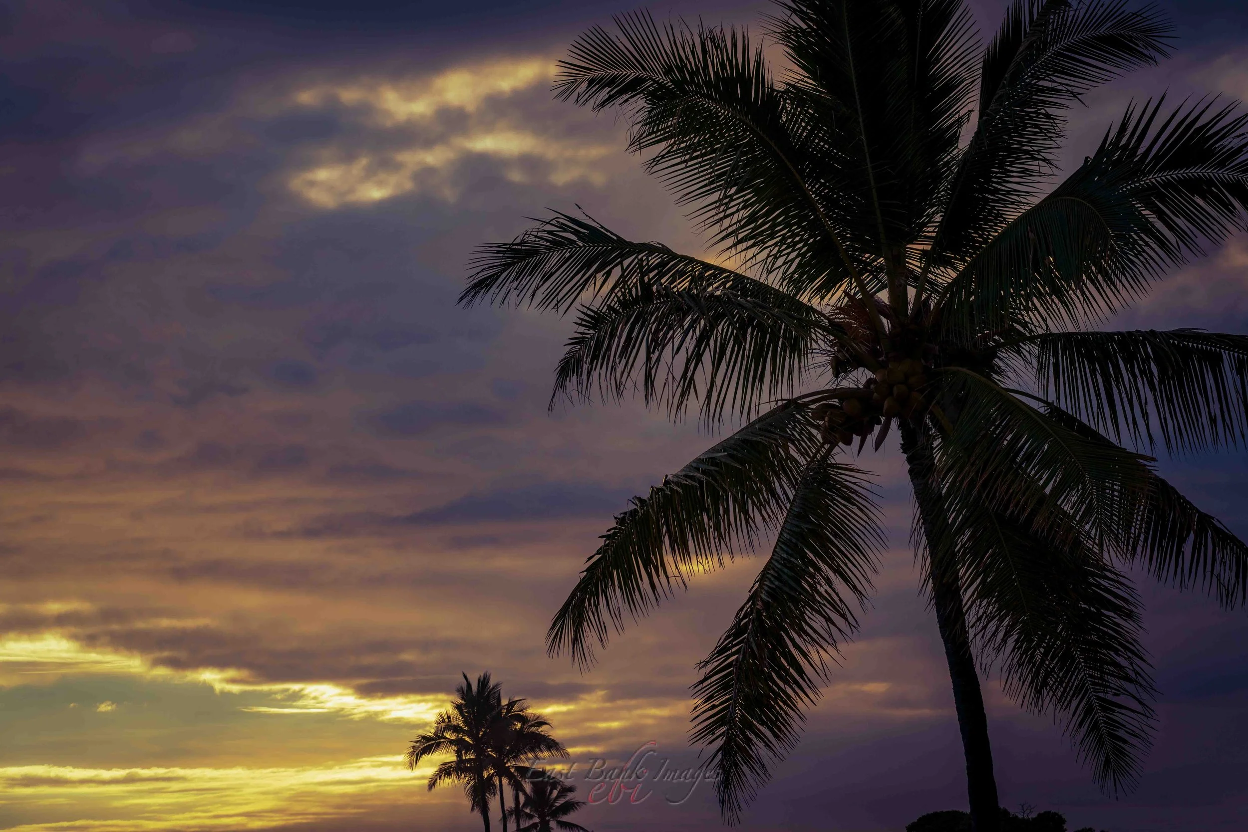 Hawaii-54.jpg