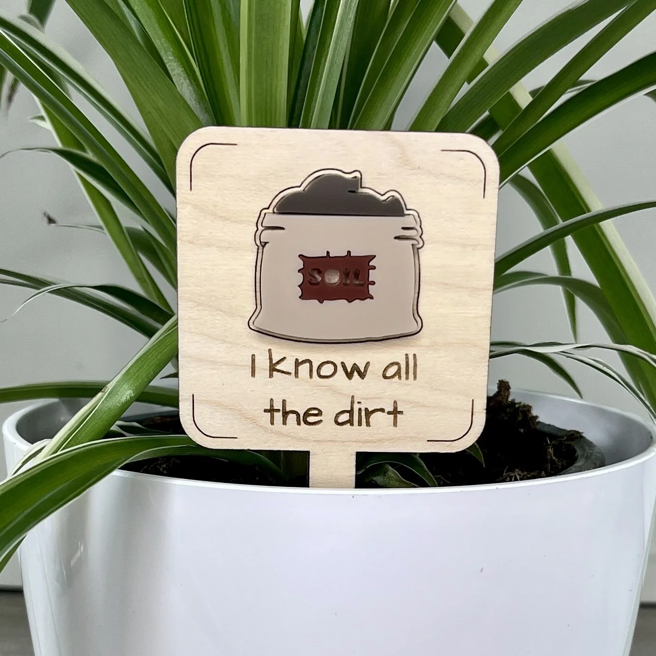 I Know All The Dirt Plant Stake